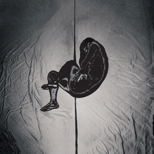 亚洲重口味韩国女主播
